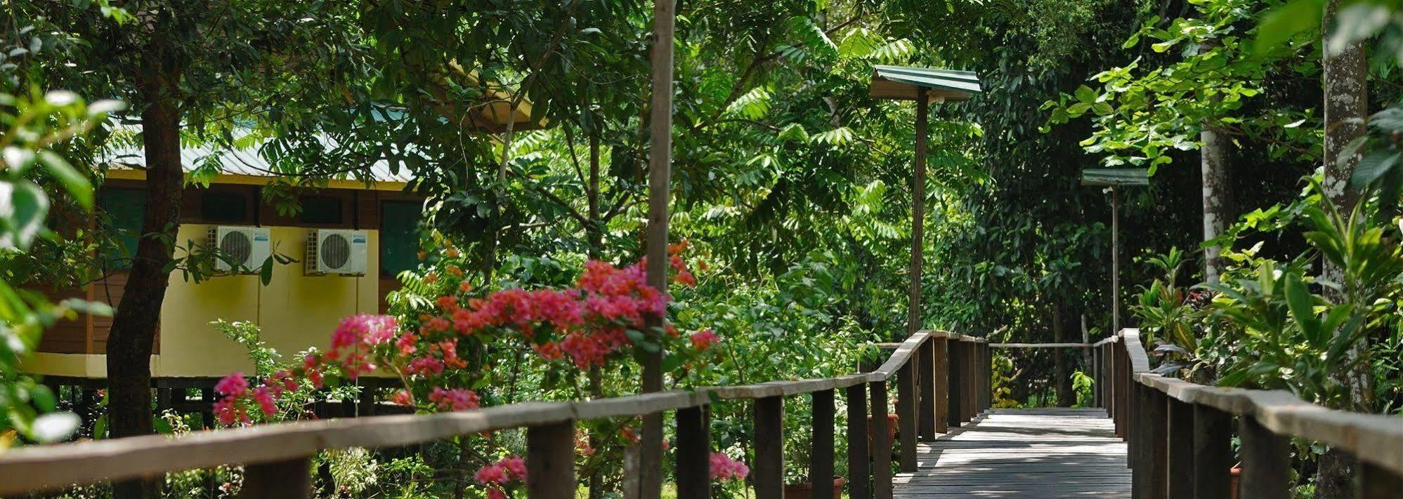 Bilit Adventure Lodge Εξωτερικό φωτογραφία